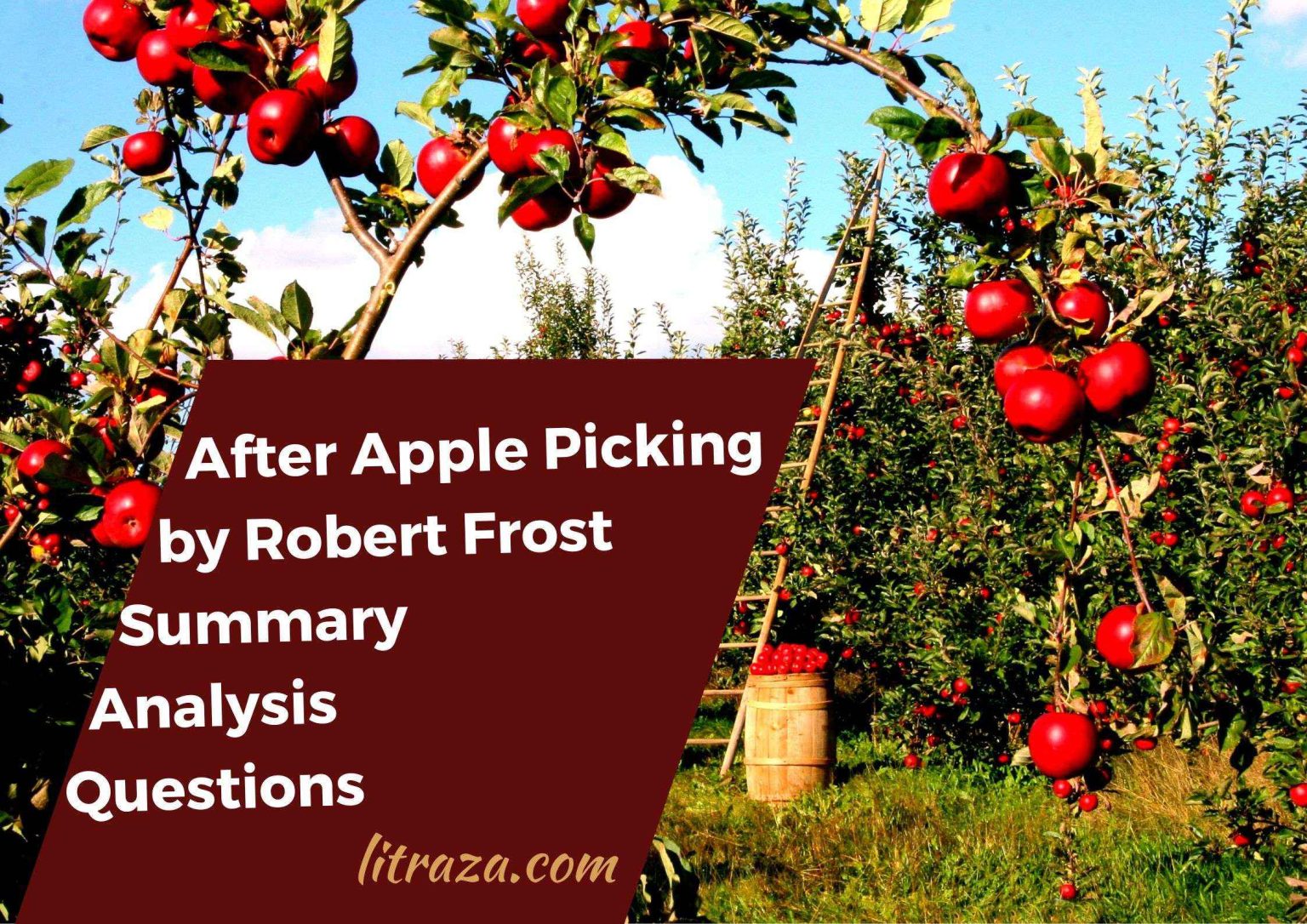After ApplePicking by Robert Frost Summary Analysis Questions